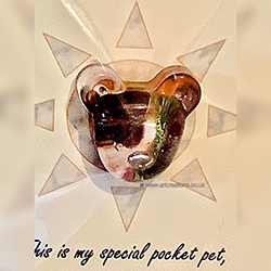 BEAR CUB POCKET PET VERSE