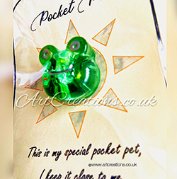 FROG POCKET PET VERSE