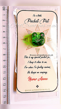 FROG POCKET PET VERSE