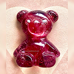 friendship bear pocket pet
