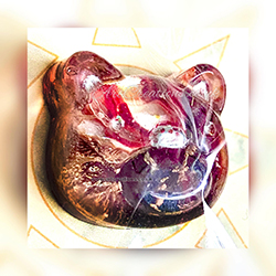 POCKET PET FRIEND VERSE
