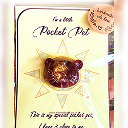 POCKET PET TEDDY BEAR