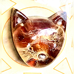 DOG POCKET PET VERSE