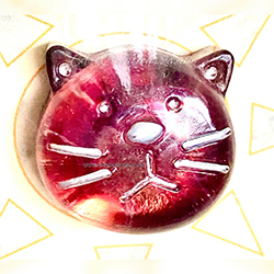 POCKET PET CAT VERSE