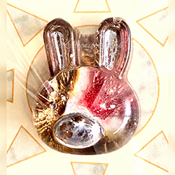 POCKET PET RABBIT VERSE