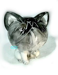 glasslookcat